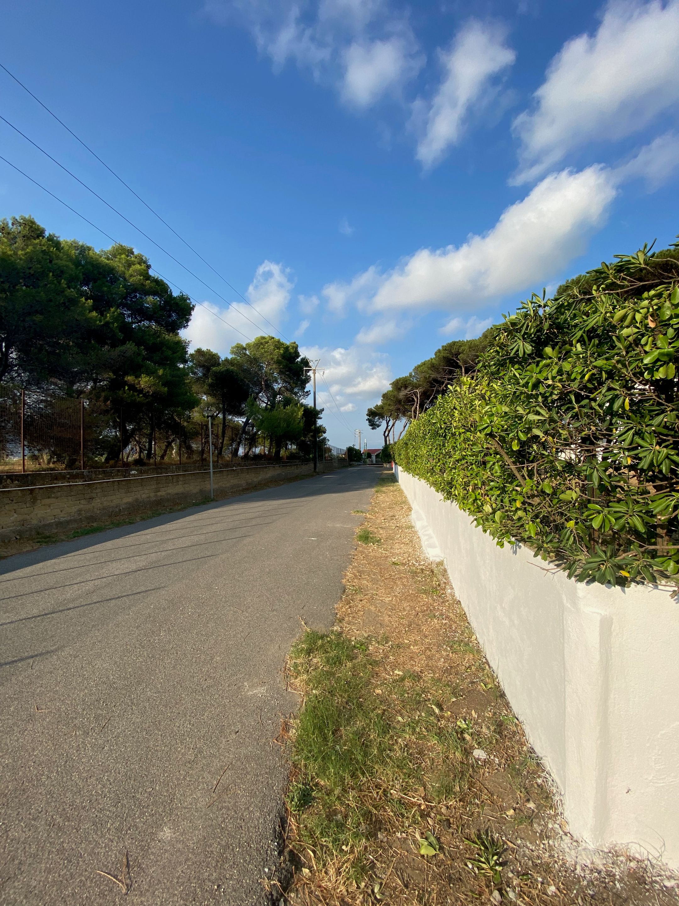 Foto 27 van Pineta Riviera Via Domitiana