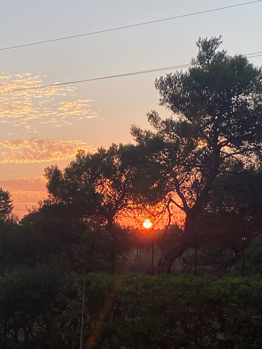 Foto 28 van Pineta Riviera Via Domitiana