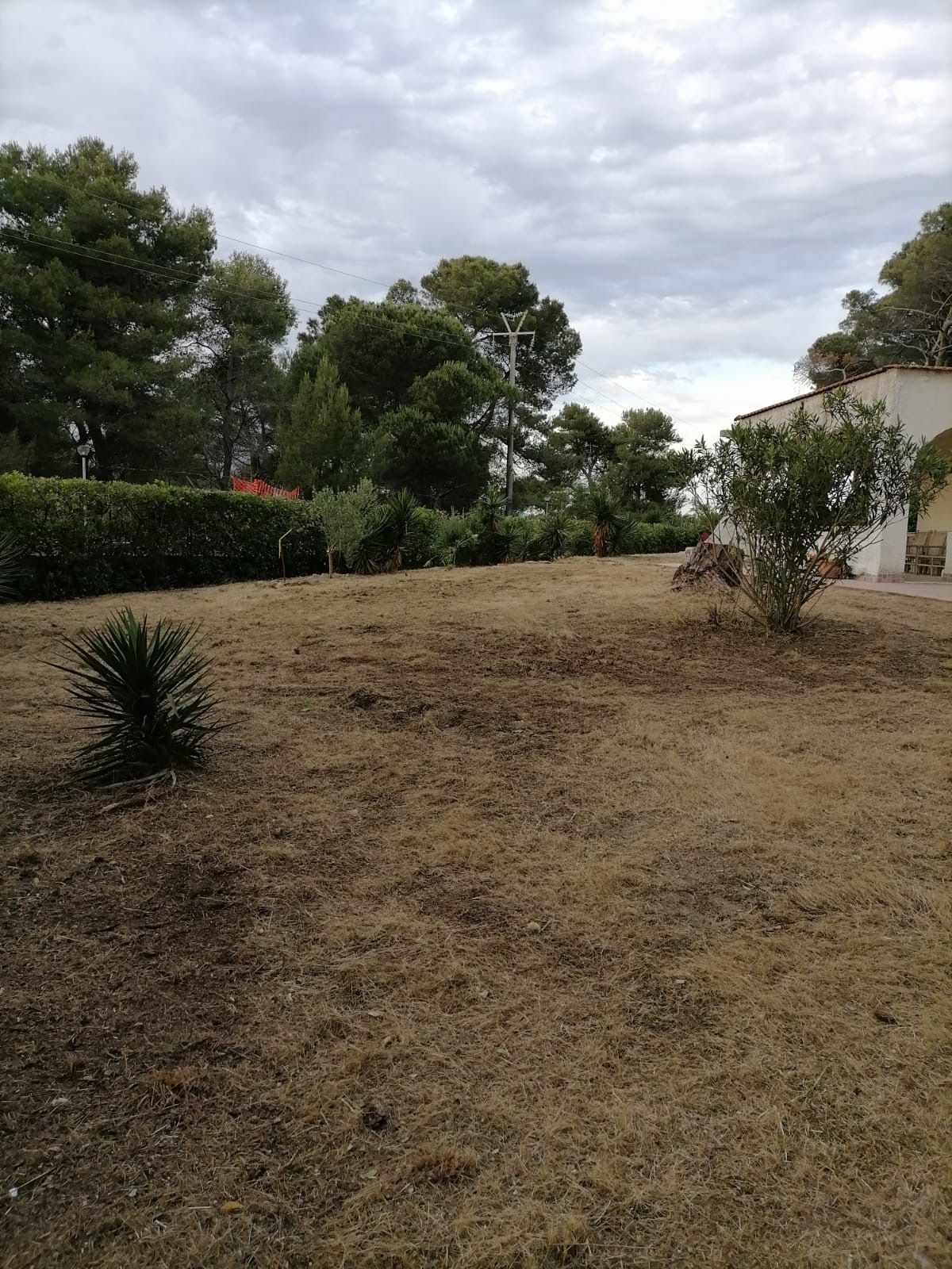 Foto 44 van Pineta Riviera Via Domitiana