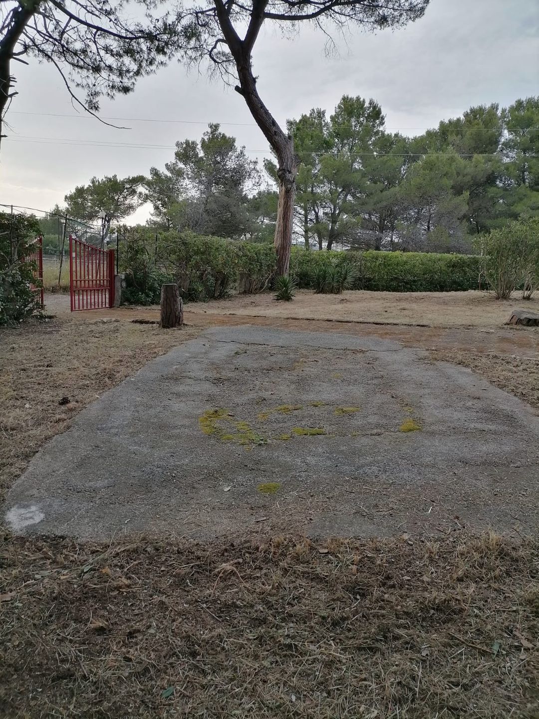 Foto 47 van Pineta Riviera Via Domitiana