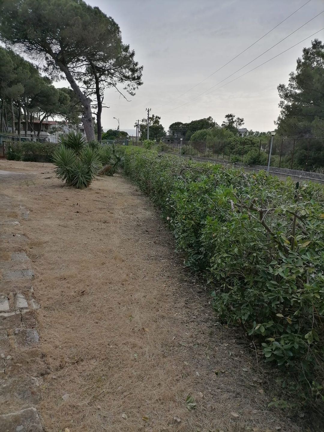 Foto 46 van Pineta Riviera Via Domitiana