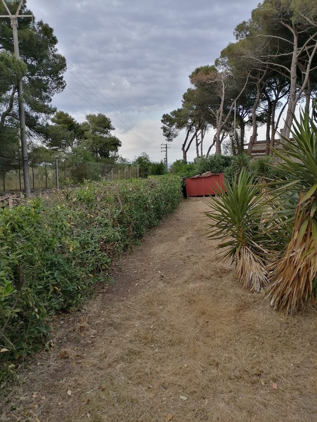 Foto 48 van Pineta Riviera Via Domitiana