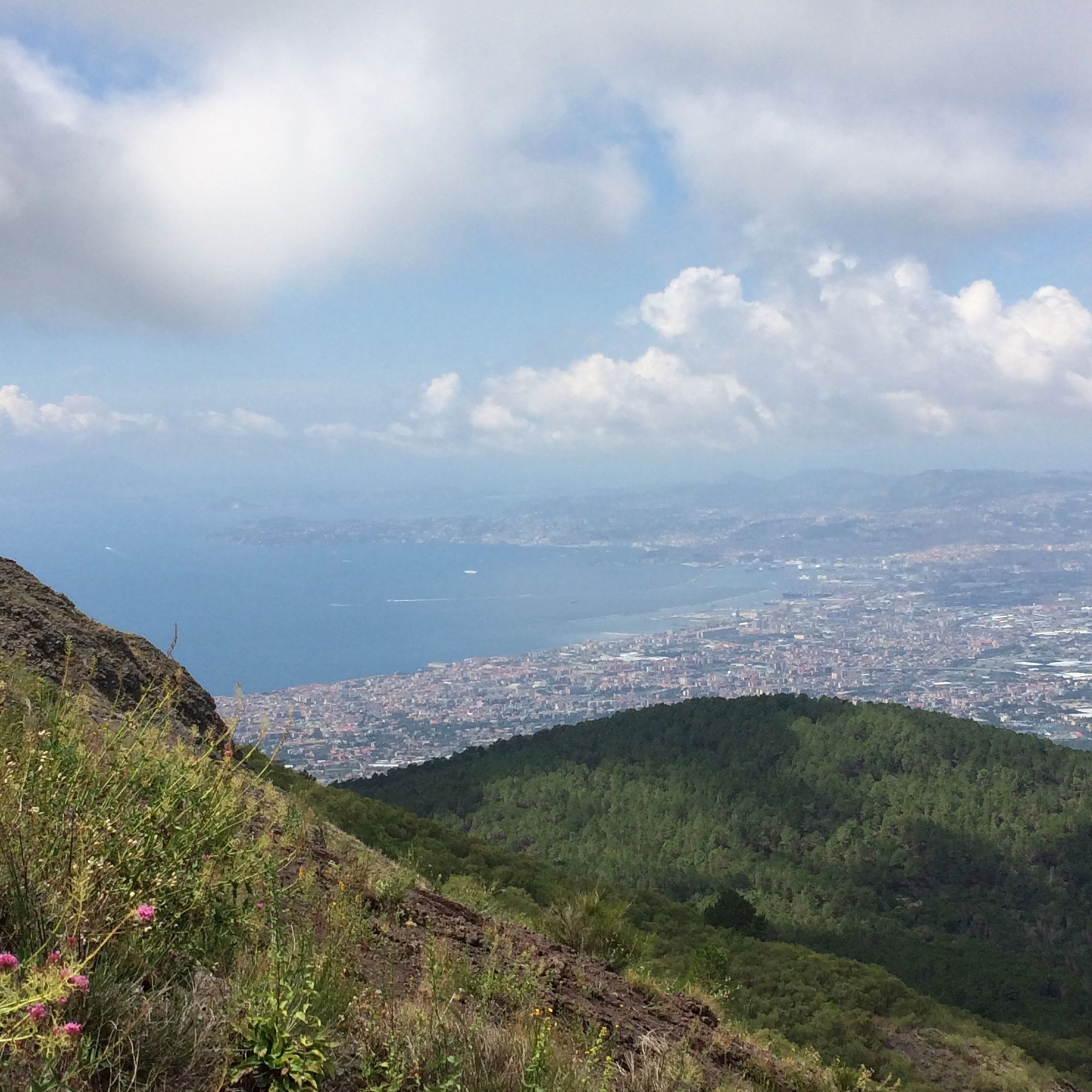 Foto 51 van Pineta Riviera Via Domitiana