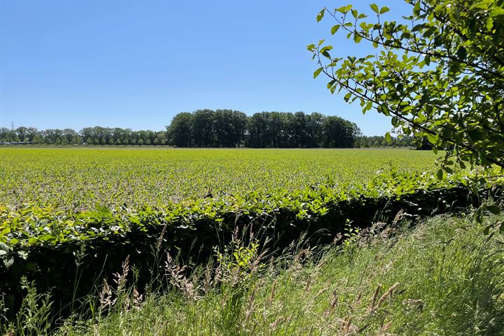 Bekijk foto 39 van Boedelhofweg 92