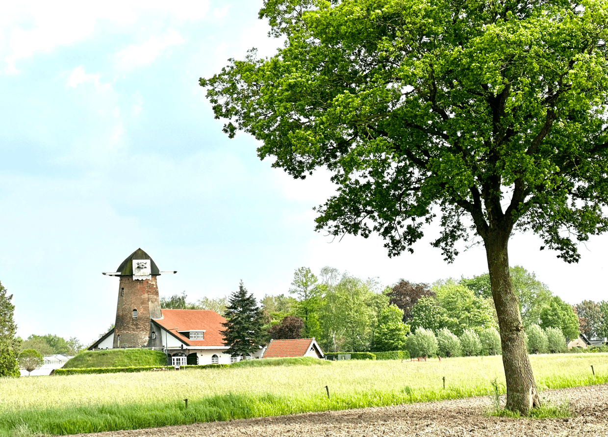 Foto 54 van Moleneind 3