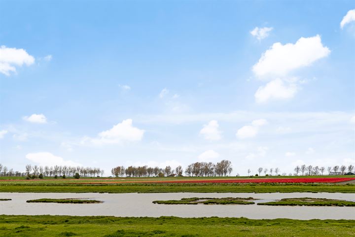 Bekijk foto 19 van Peuterdijk 50--68