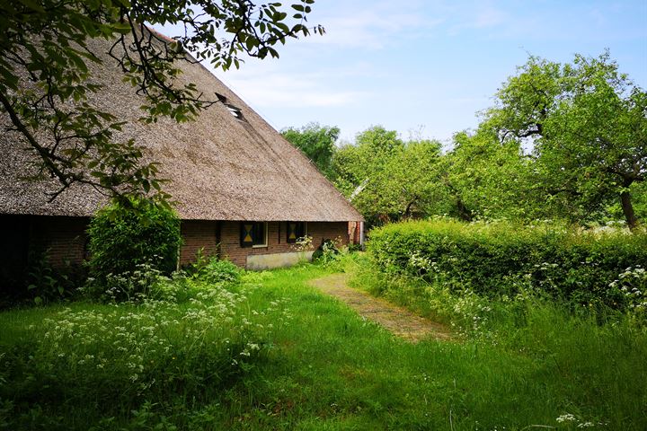 Bekijk foto 44 van Molenweg 3