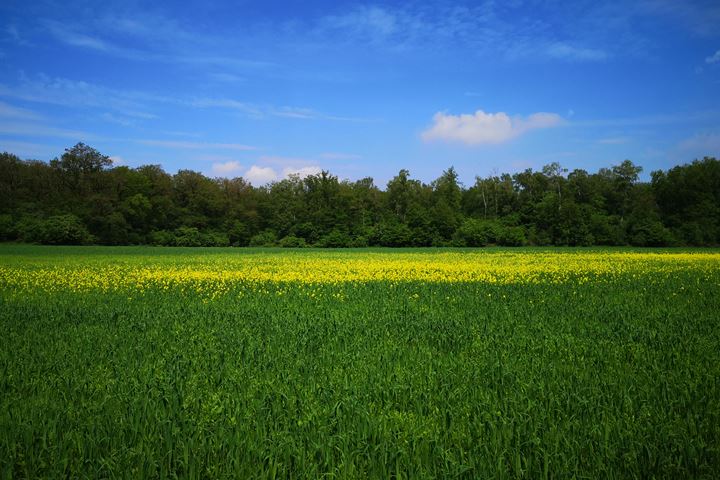 Bekijk foto 49 van Molenweg 3