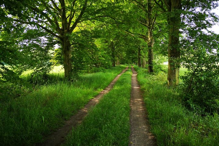 Bekijk foto 50 van Molenweg 3