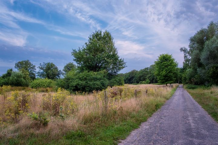 Bekijk foto 55 van Molenweg 3