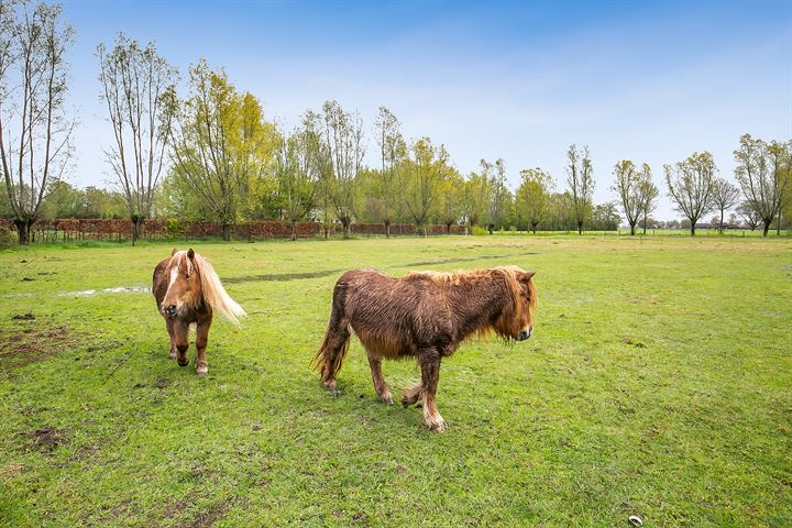 Bekijk foto 33 van Ravenstraat 33