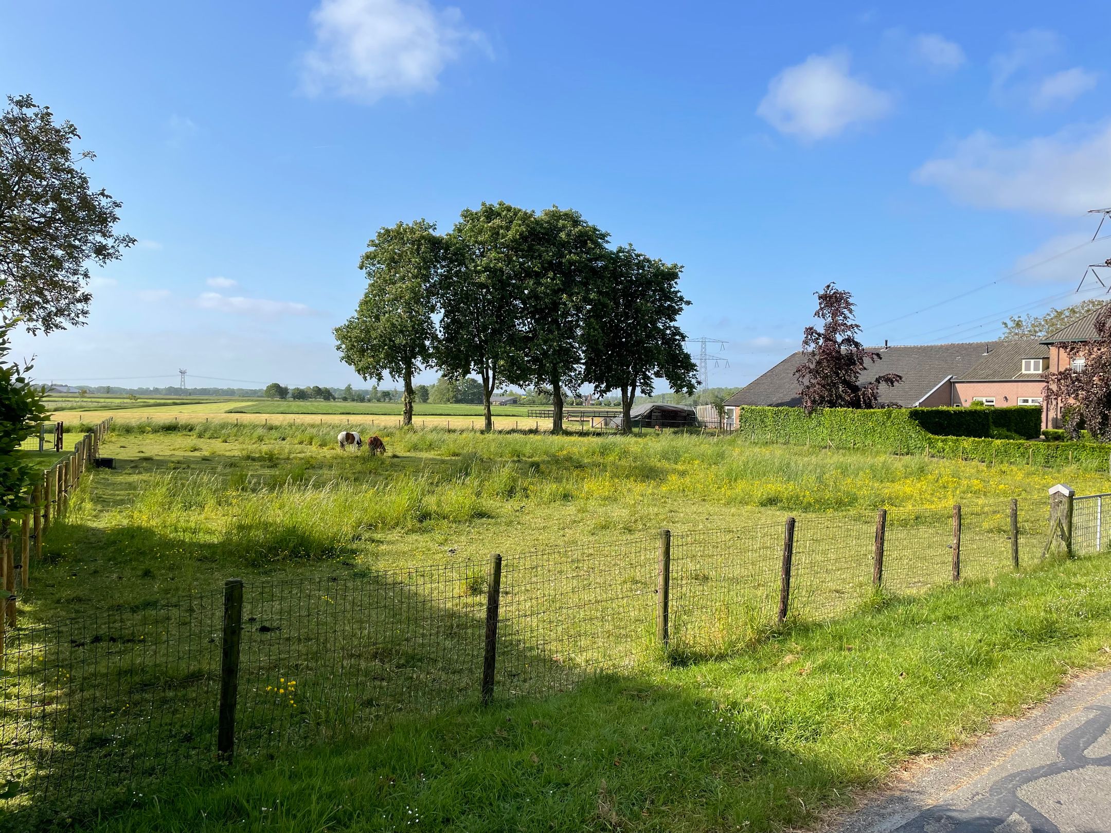 Koningstraat, Afferden (GE), 6654AD, Gelderland, Nederland  