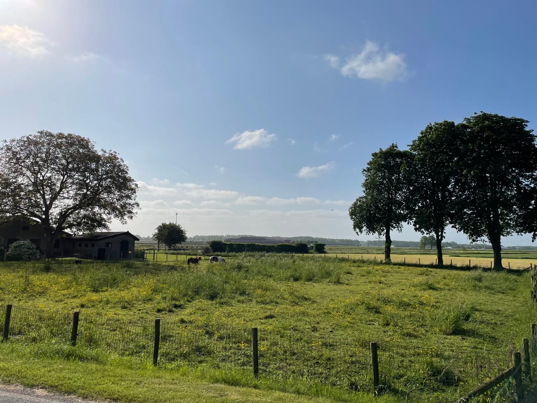 Foto 2 van Koningstraat