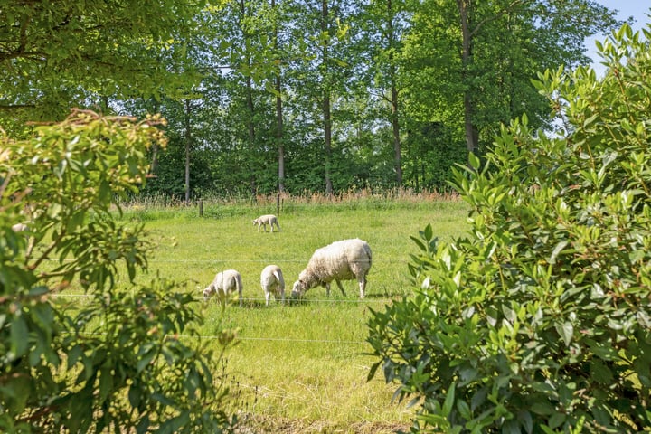 Bekijk foto 3 van Glanestraat 17