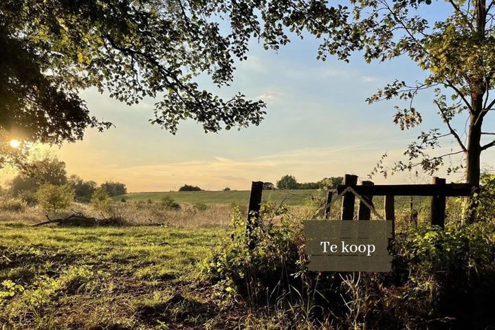 Bekijk foto 1 van Pannerdense Waard 12-NABIJ