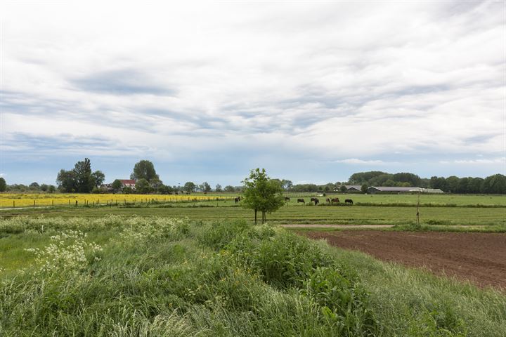 Bekijk foto 4 van Pannerdense Waard 12-NABIJ