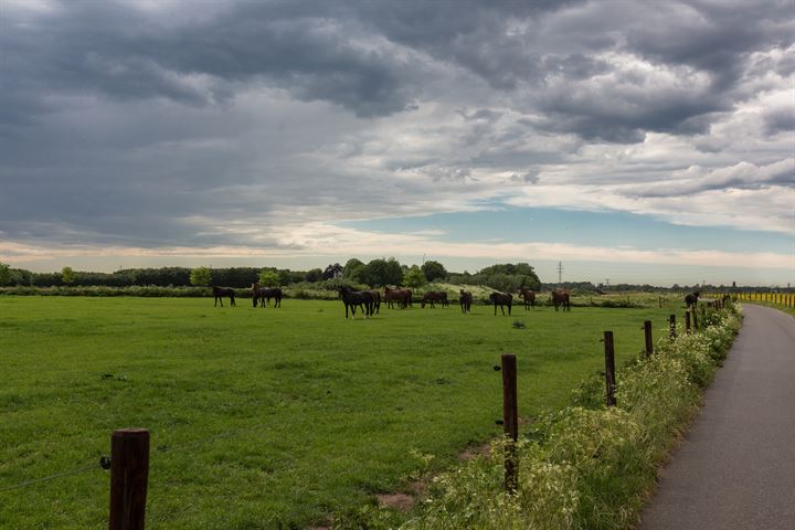 Bekijk foto 5 van Pannerdense Waard 12-NABIJ