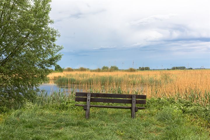 Bekijk foto 9 van Pannerdense Waard 12-NABIJ