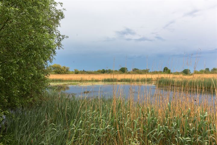 Bekijk foto 8 van Pannerdense Waard 12-NABIJ