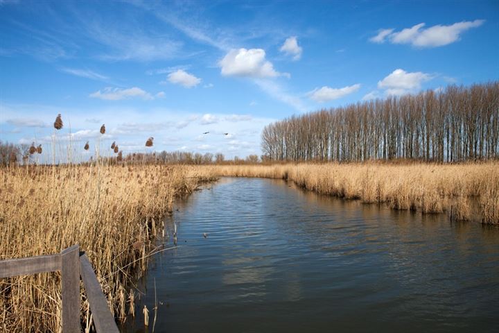 Bekijk foto 14 van Pannerdense Waard 12-NABIJ