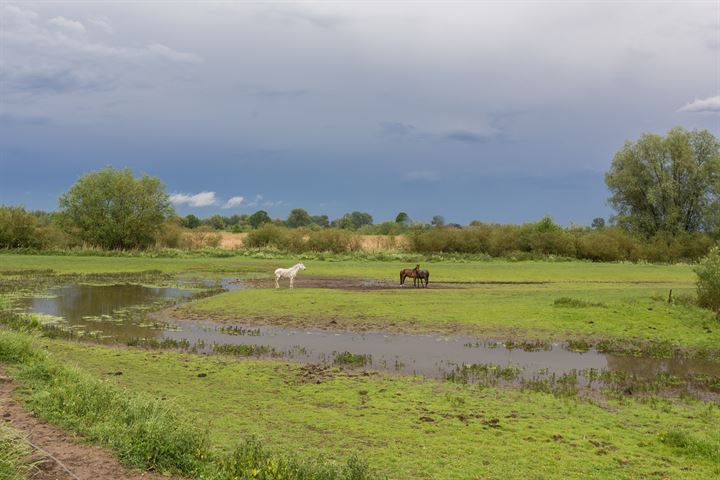 Bekijk foto 10 van Pannerdense Waard 12-NABIJ