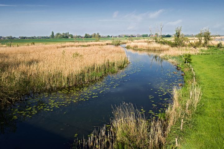 Bekijk foto 17 van Pannerdense Waard 12-NABIJ