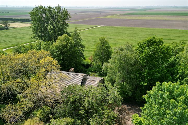 Bekijk foto 53 van Noordeinde 116