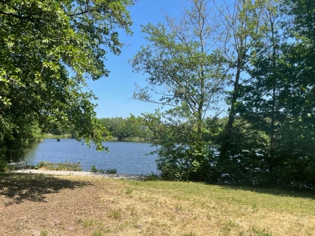 Foto 27 van Middenlaan