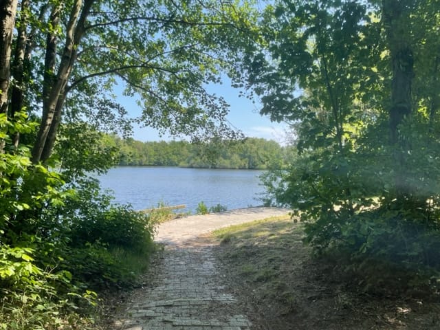 Foto 25 van Middenlaan