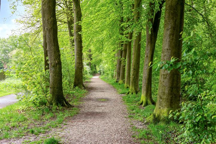 Bekijk foto 40 van Oude Beekbergerweg 399