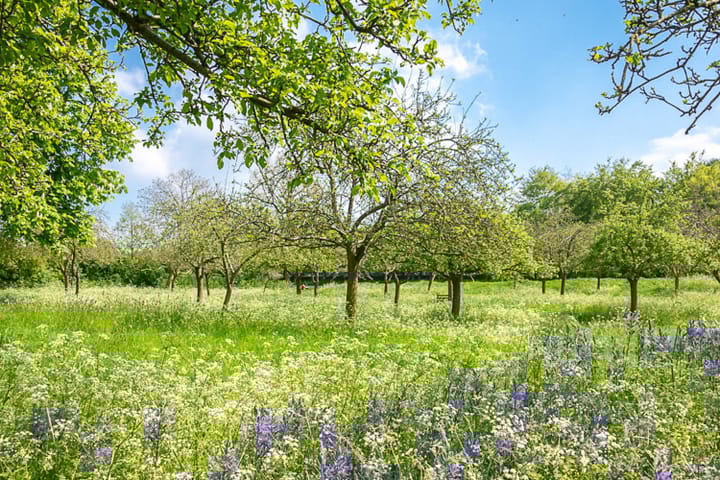 Foto 16 van Dwarsdijk 5-0001