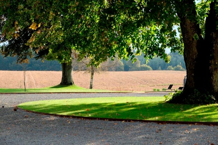 Foto 17 van Dwarsdijk 5-0001