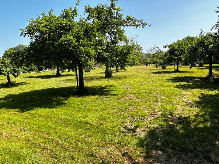 Foto 11 van Dwarsdijk 5-0001