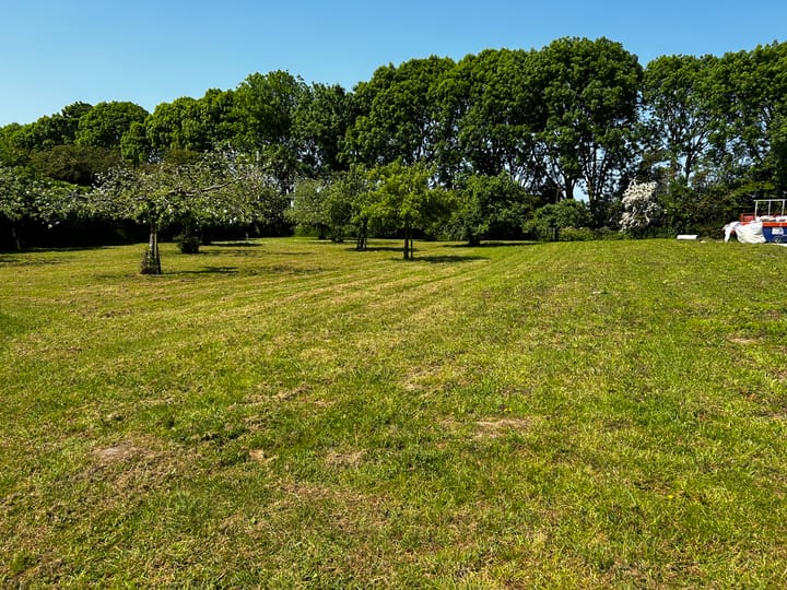 Foto 9 van Dwarsdijk 5-0001