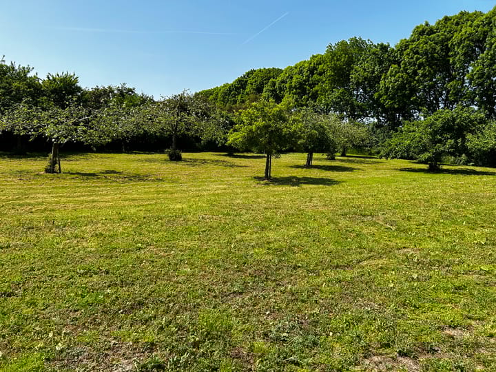 Foto 8 van Dwarsdijk 5-0001