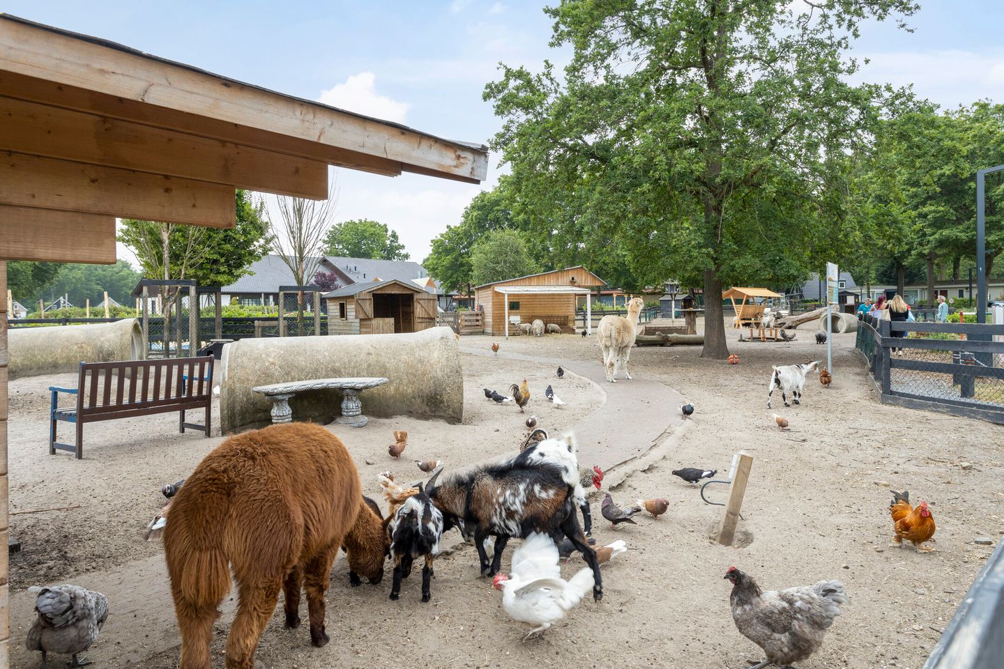 Foto 44 van Hommelweg 2-R807