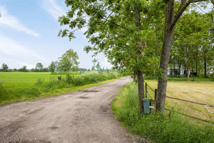 Bekijk foto 10 van Weg door de Plas 20