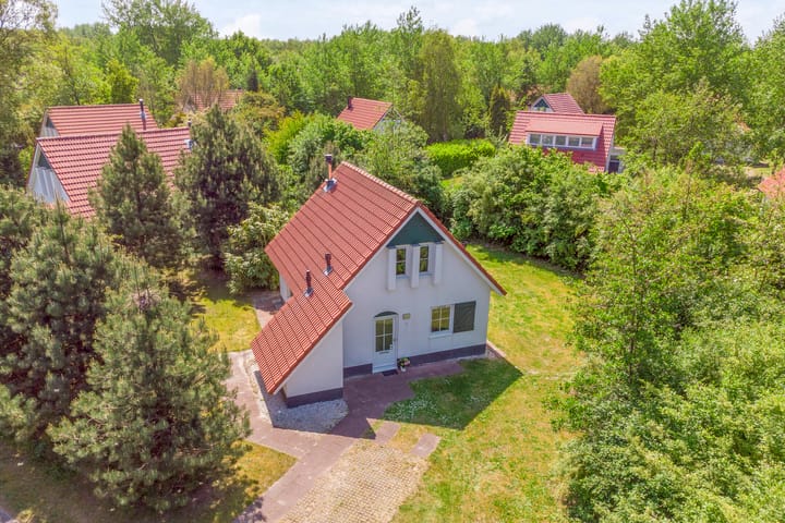 Foto 5 van De Rug 3-35