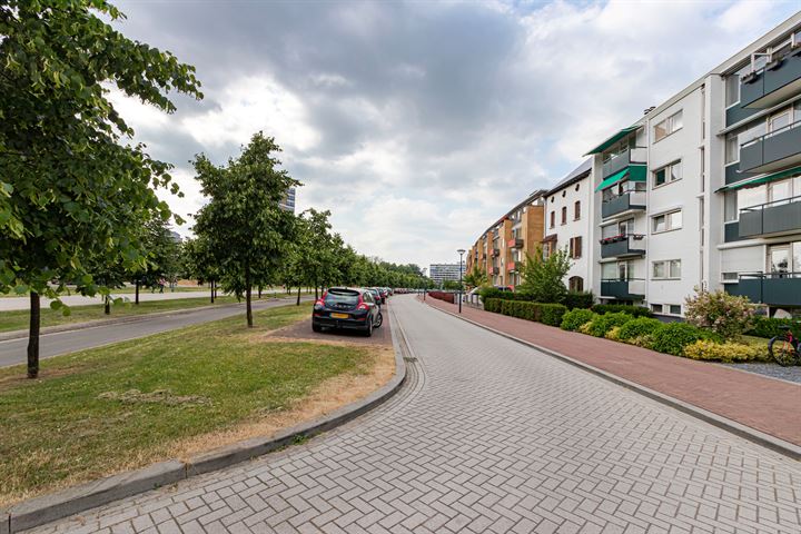 Bekijk foto 6 van Oranjeplein 89-D