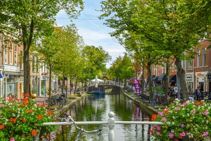 Foto 5 van Ireneboulevard 50-E2