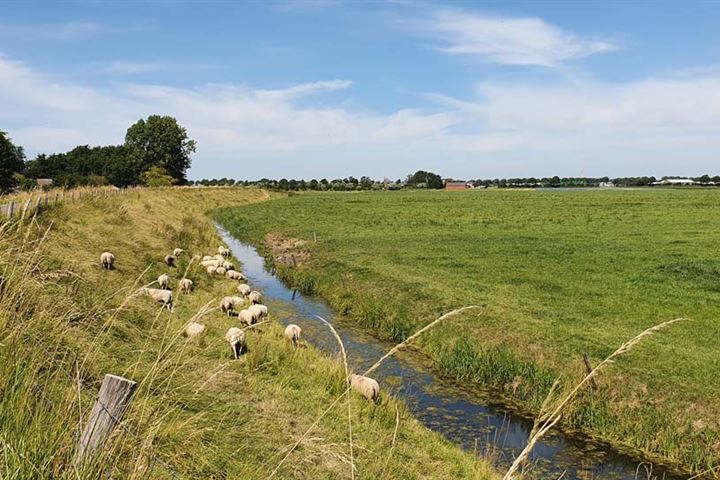 Bekijk foto 25 van Rekerlanden 153