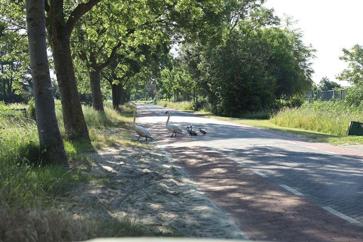 Bekijk foto 32 van Westbroekse Binnenweg 86-A