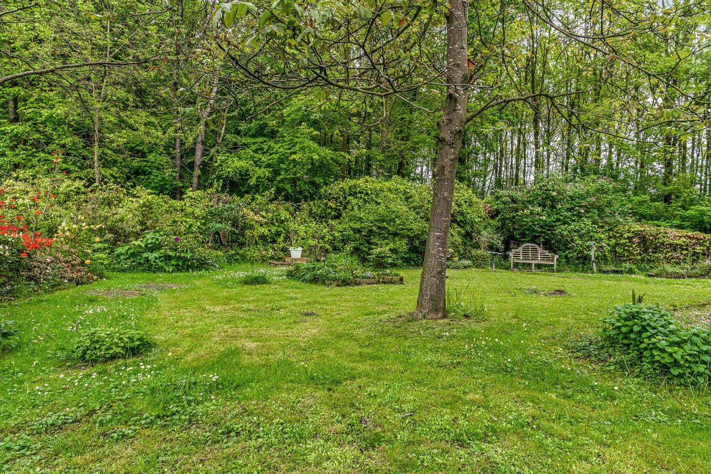 Foto 40 van Molenstraat 16