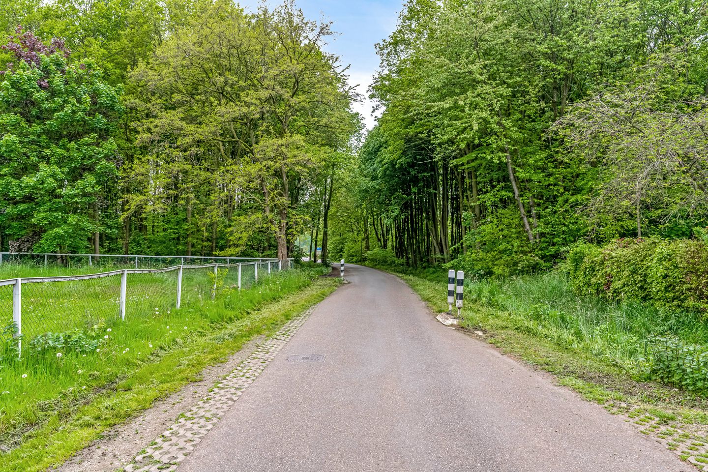 Foto 44 van Molenstraat 16