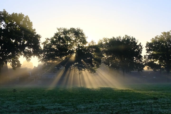 Bekijk foto 30 van 't Schepeltje 2