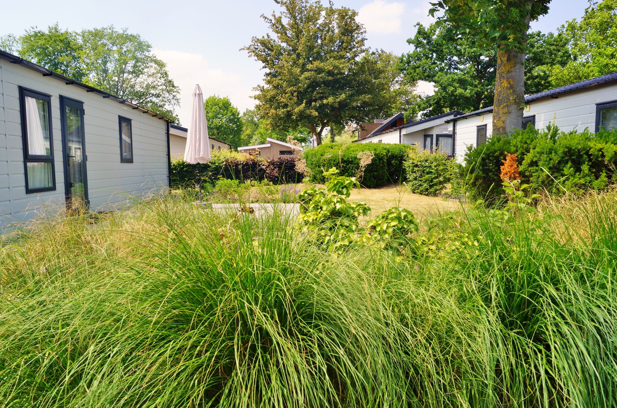 Foto 3 van Spijkweg 15-239 A