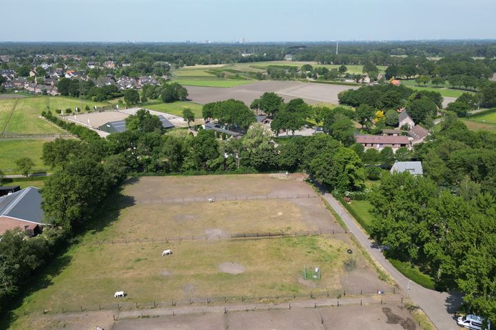 Bekijk foto 3 van Heiligenboom