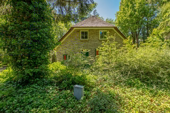 Photo 3 of Buinerweg 8-219