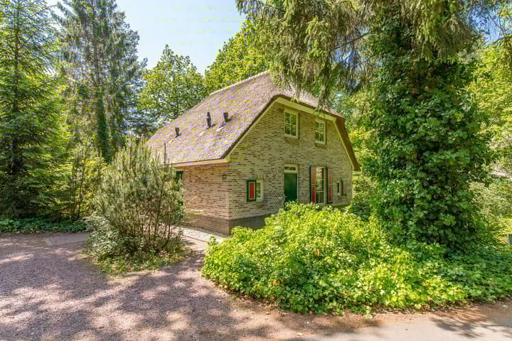 Photo 2 of Buinerweg 8-219