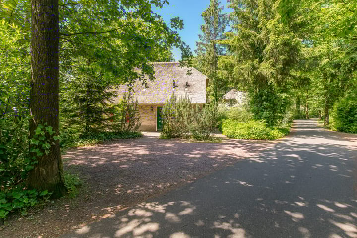 Photo 5 of Buinerweg 8-219